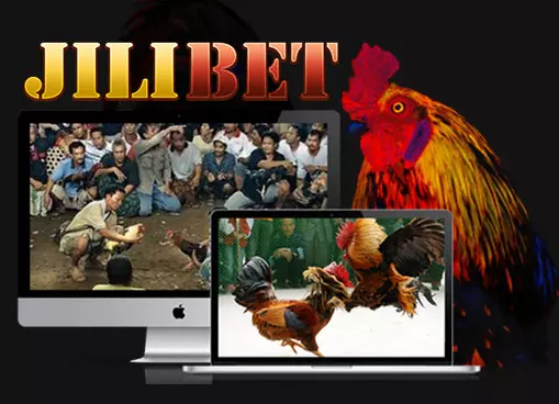 sabong betting at jilibet